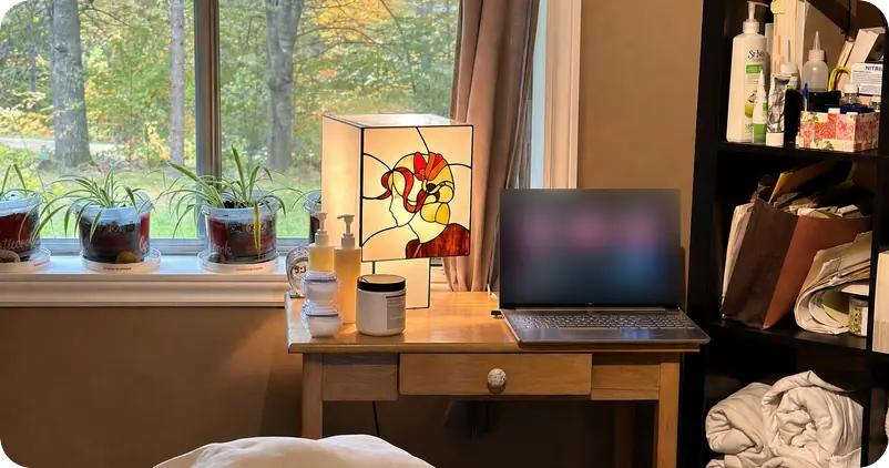 Bureau du cabinet G3n Massothérapie à Saint-Jérôme : lampe en vitrail, plantes et fenêtre sur la forêt
